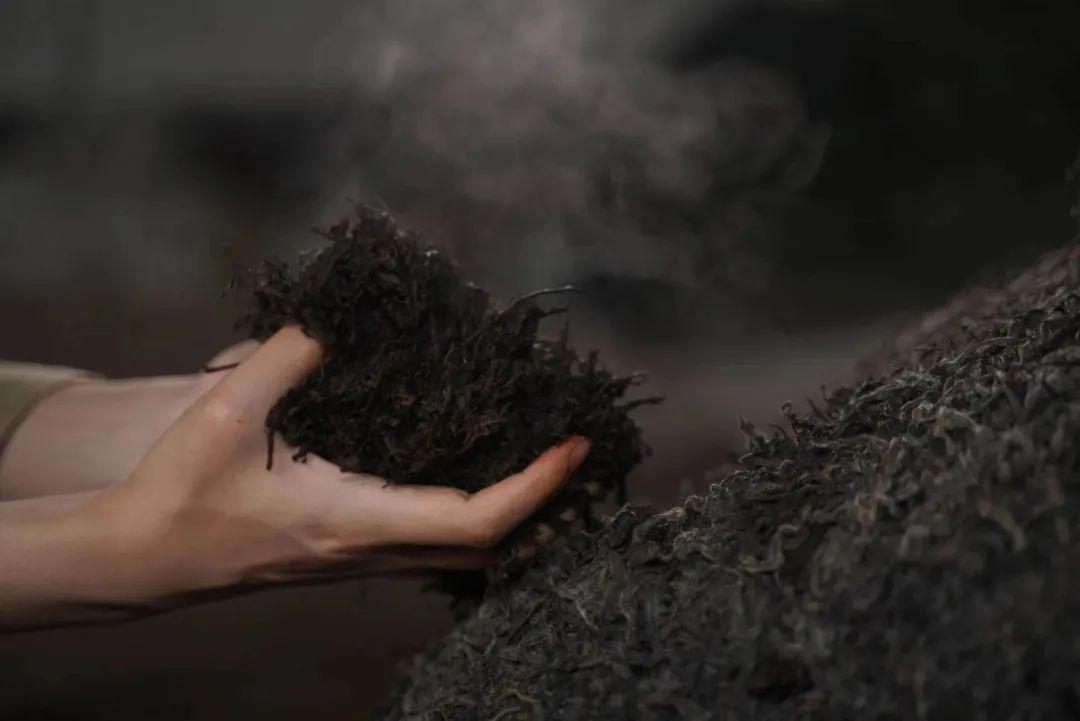 67我们普洱熟茶发酵的发酵属于固态发酵,在熟茶发酵过程中,我们可以