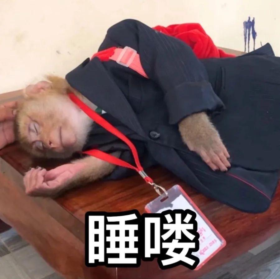 有没有精神状态不正常得发疯表情包? - 知乎