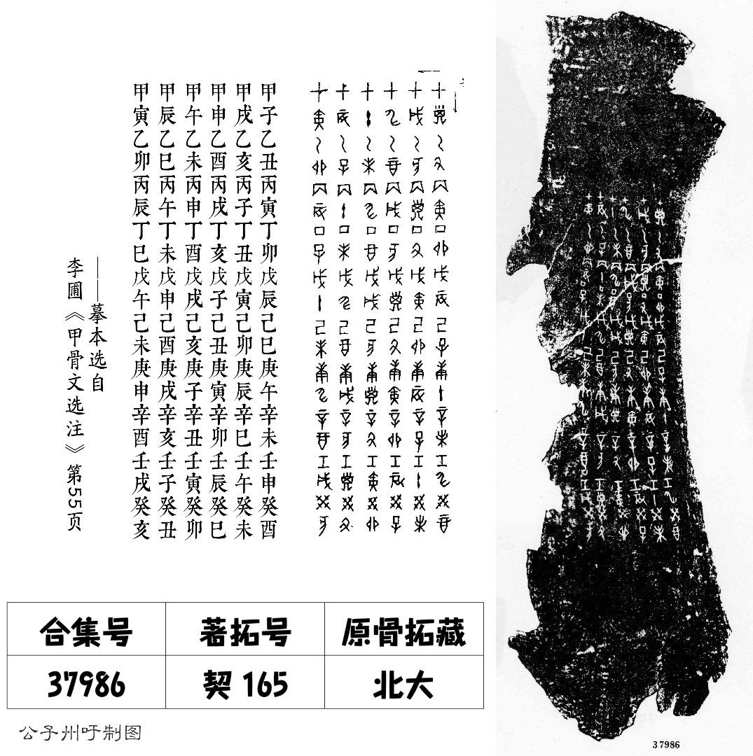甲骨文选读 合 天干地支 知乎 甲骨文选读 合 天干地支 知乎
