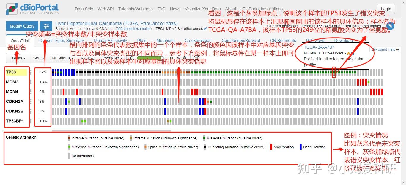 cBioPortal数据库——零代码进行突变分析与可视化 - 知乎