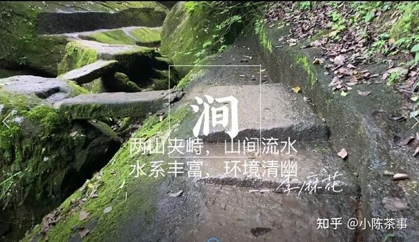 听过牛栏坑、慧苑坑、倒水坑,但三坑两涧里的流香涧,你知道吗? - 知乎