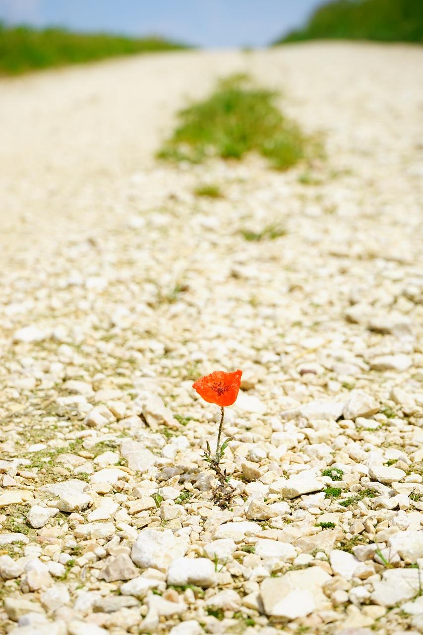 装修风格搭配秘籍