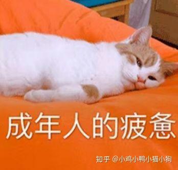 什么时候才能脱单呀 v2-cbf2dd2707bb5ee858d0fc86e1c416a4_b.jpg