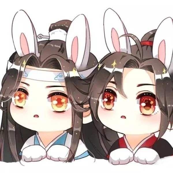 登录/注册 魔道祖师(小说) 魏无羡 蓝忘机 求蓝忘机和魏无羡的情头?