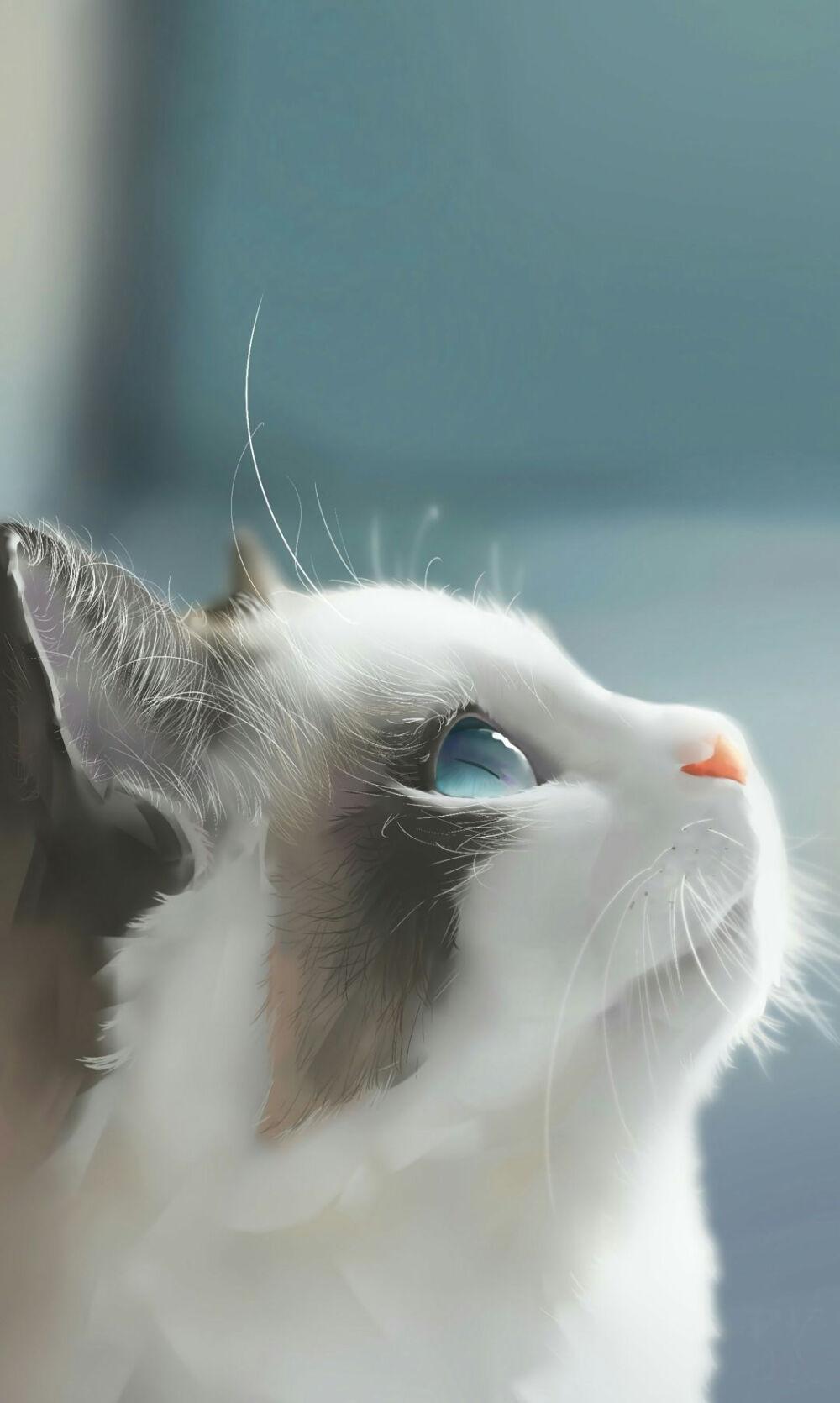 可以给我看看你们的猫咪壁纸/屏保/桌面吗? - 知乎