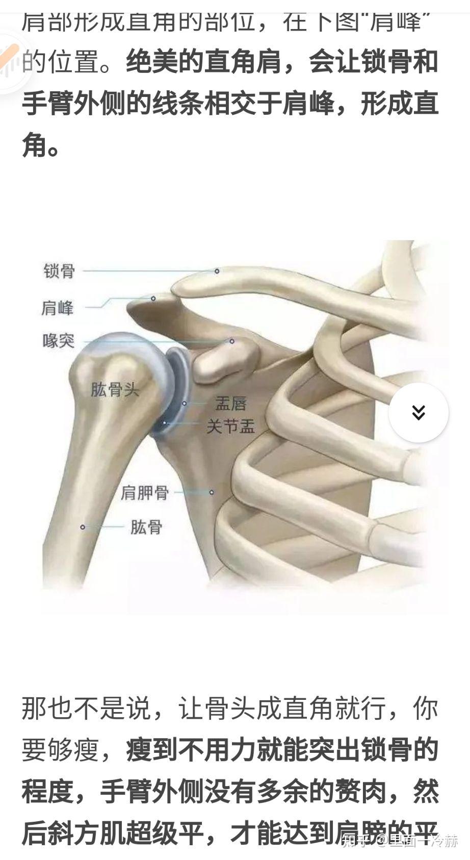 锁骨头胸骨头锁骨三角图片