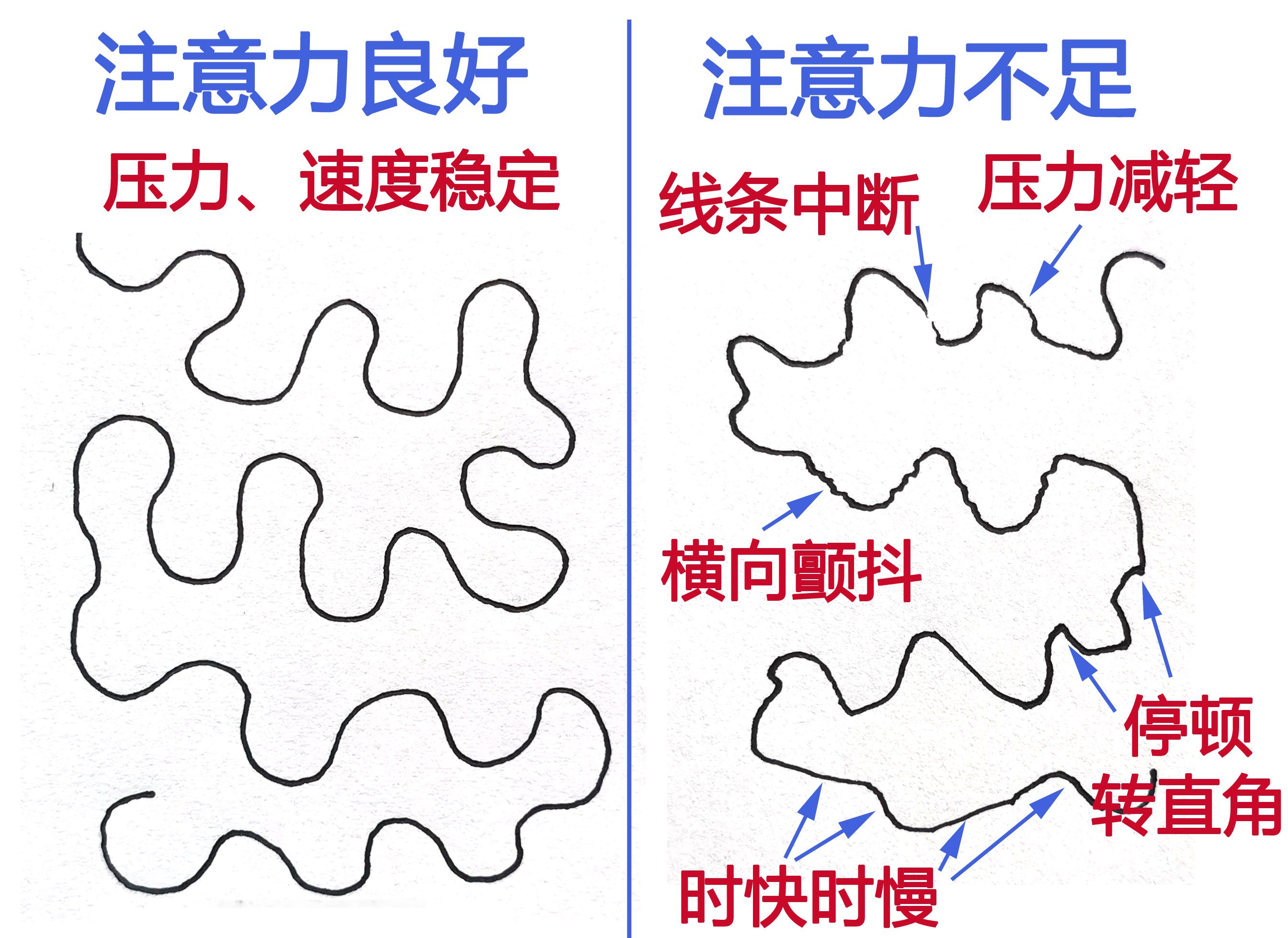 珊瑚画训练注意力图片