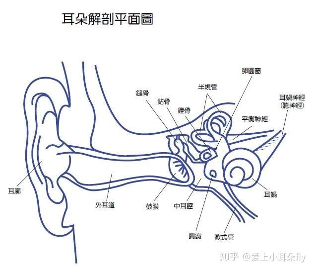 搭飞机耳朵痛怎么调节_耳朵里面痛怎么回事儿(3)