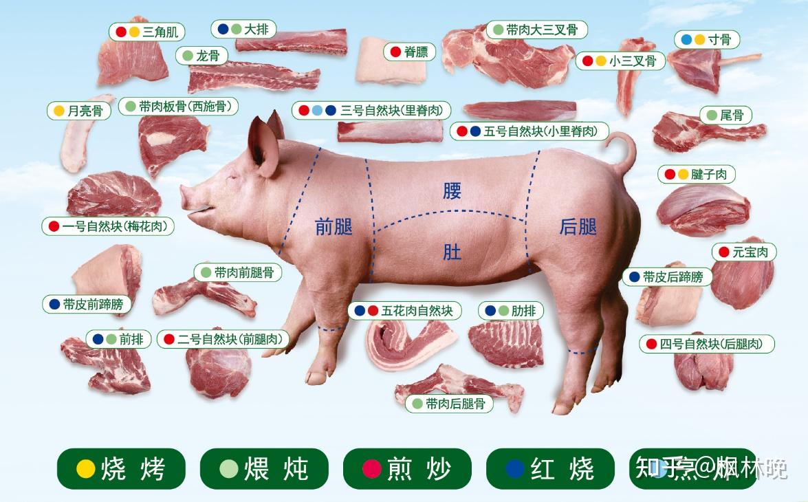 猪颈肉和二层肉的区别图片