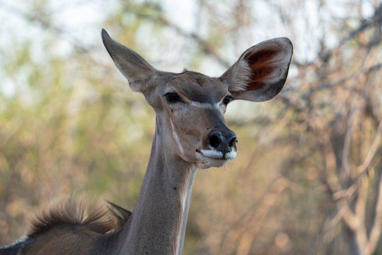 3. 葫芦捻纹路技巧