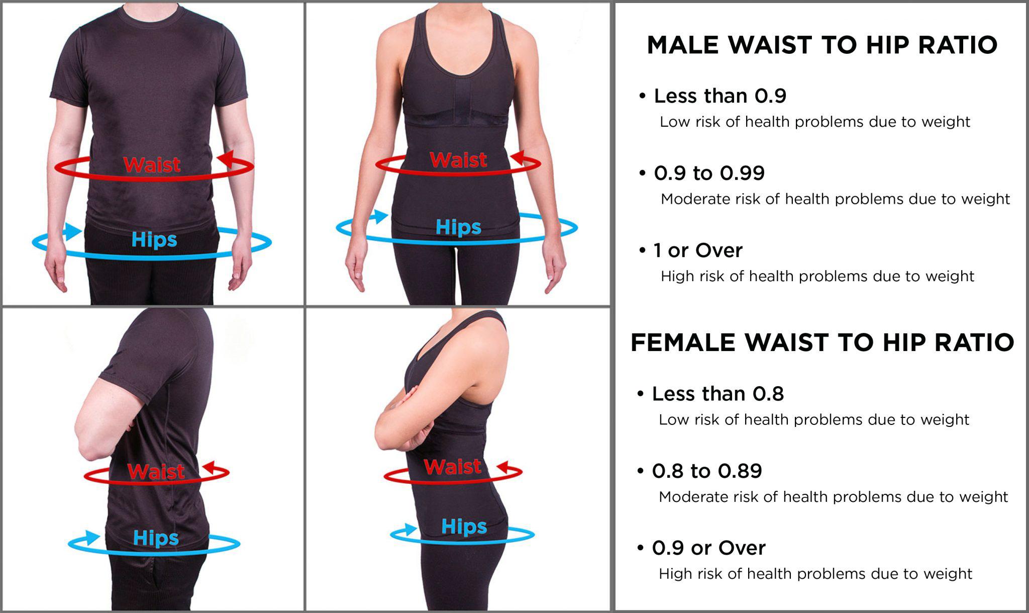 Average Waist Size For Women In China