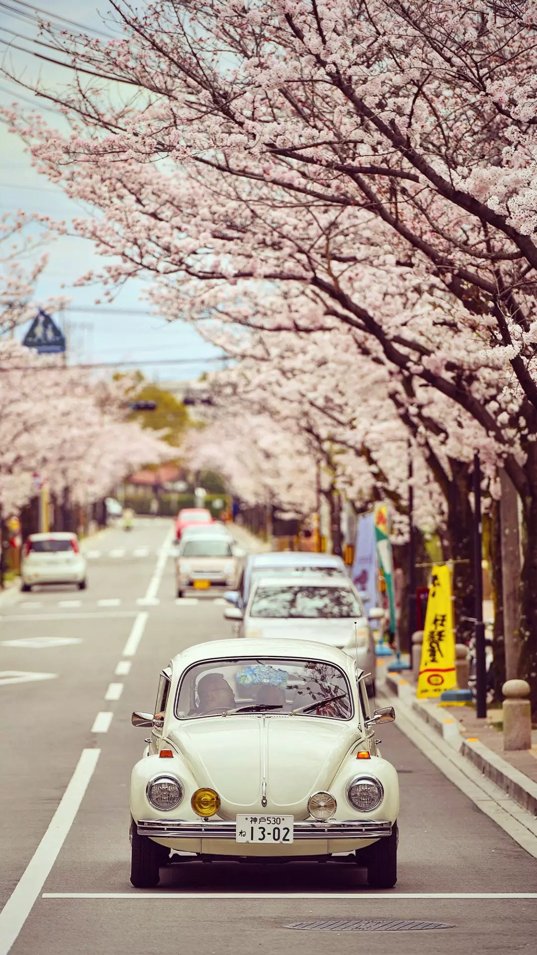日本东京街景高清照片 v2-cc35bdffcd34ed5ce3000cdf5cf3e97c_r.jpg