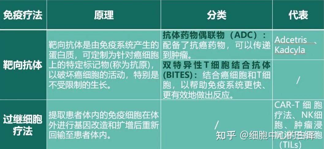 生物技术研发：推动生命科学的未来