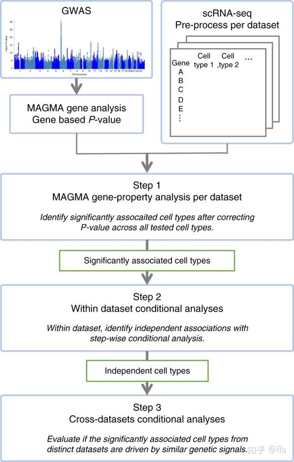 Gwas 4 gwas scrna 