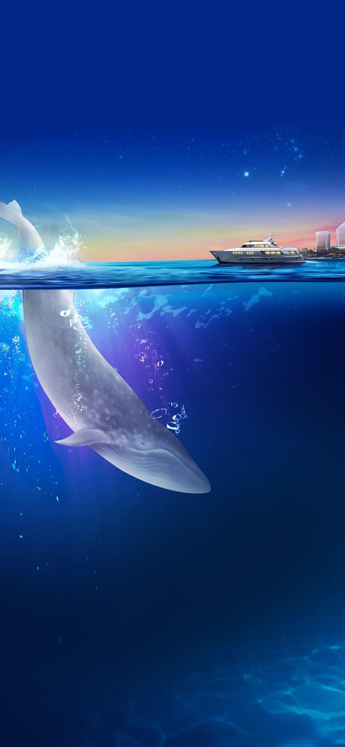 有没有关于鲸鱼的壁纸呢很喜欢一直找不到好看的