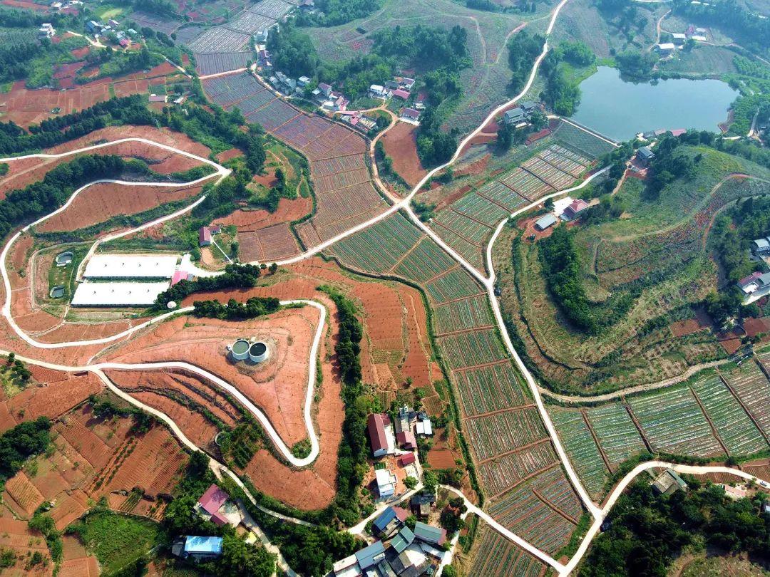 一组航拍告诉你金堂农村有多美