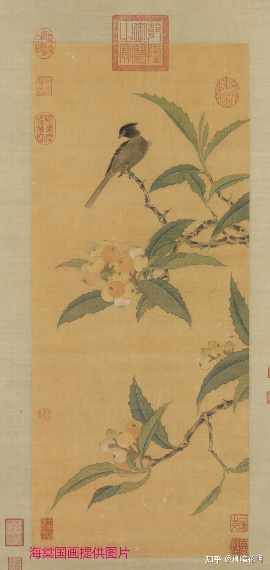 明代周之冕花鸟画合集 - 知乎