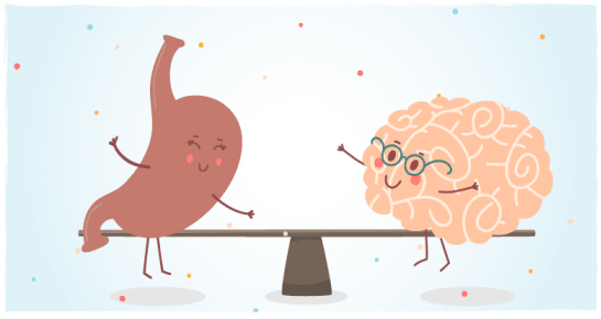 双歧杆菌:它们是婴儿肠道中最初生长的一种细菌,可以帮助消化母乳中对