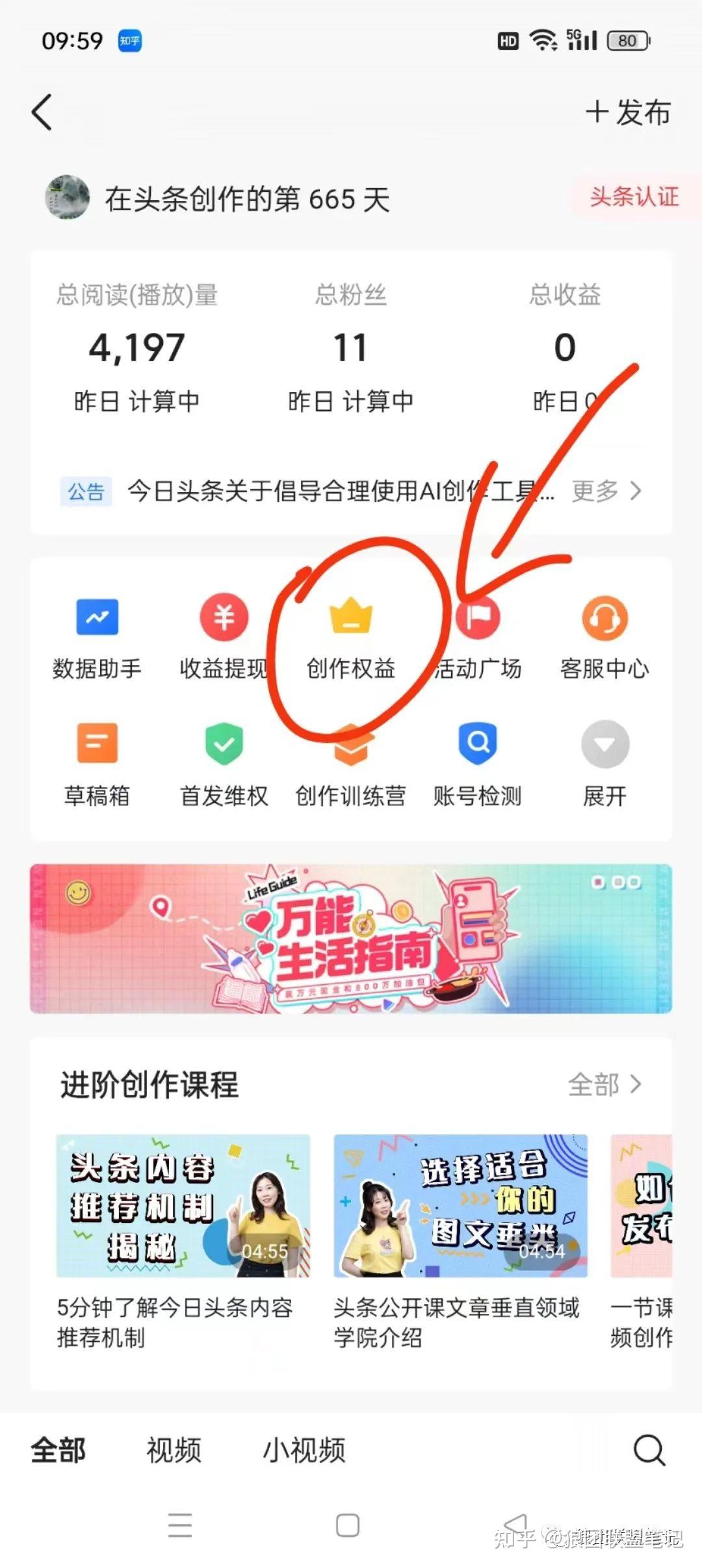 头条如何发原创视频赚钱呢知乎(头条上发布文章而且是原创怎么赚钱)