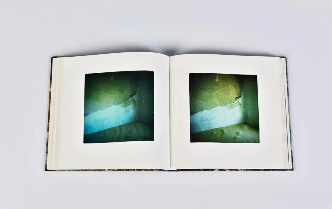 摄影弗孔的宝丽来照片拍摄中的灵光一闪