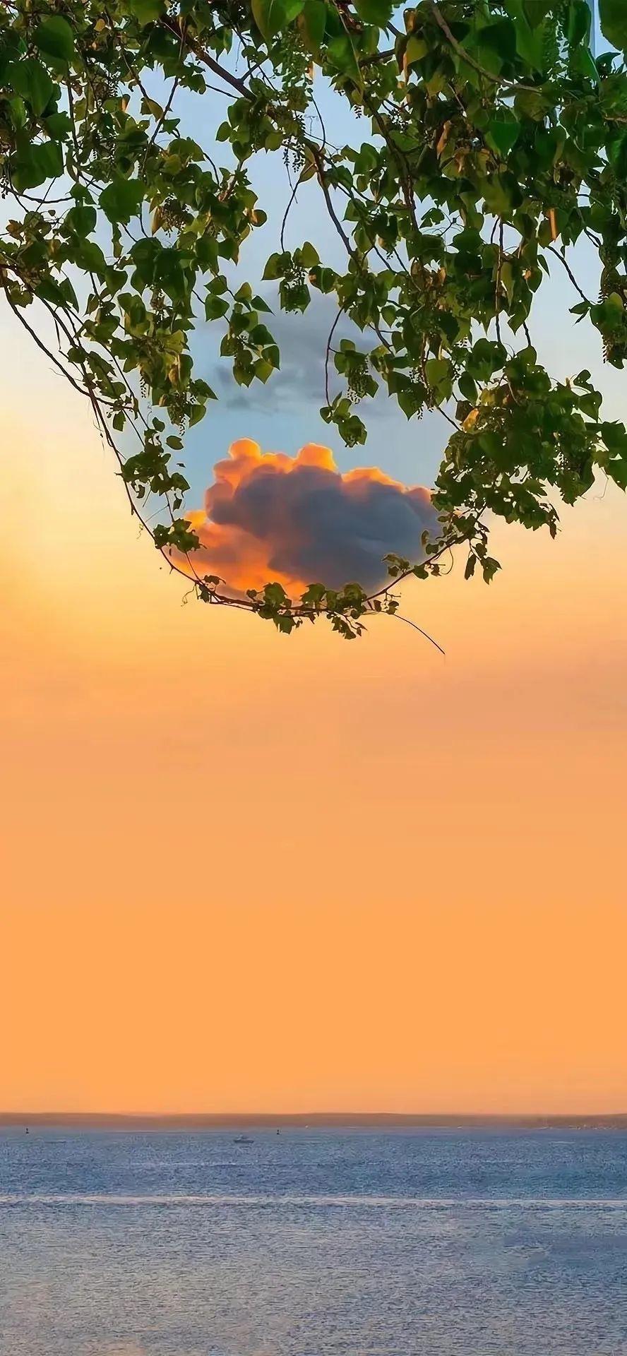 有哪些好看的微信聊天背景图? - 知乎