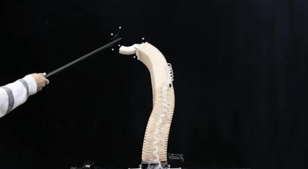 7位中国90后研发全球首款交互软体机器人能擦玻璃还能拧瓶盖