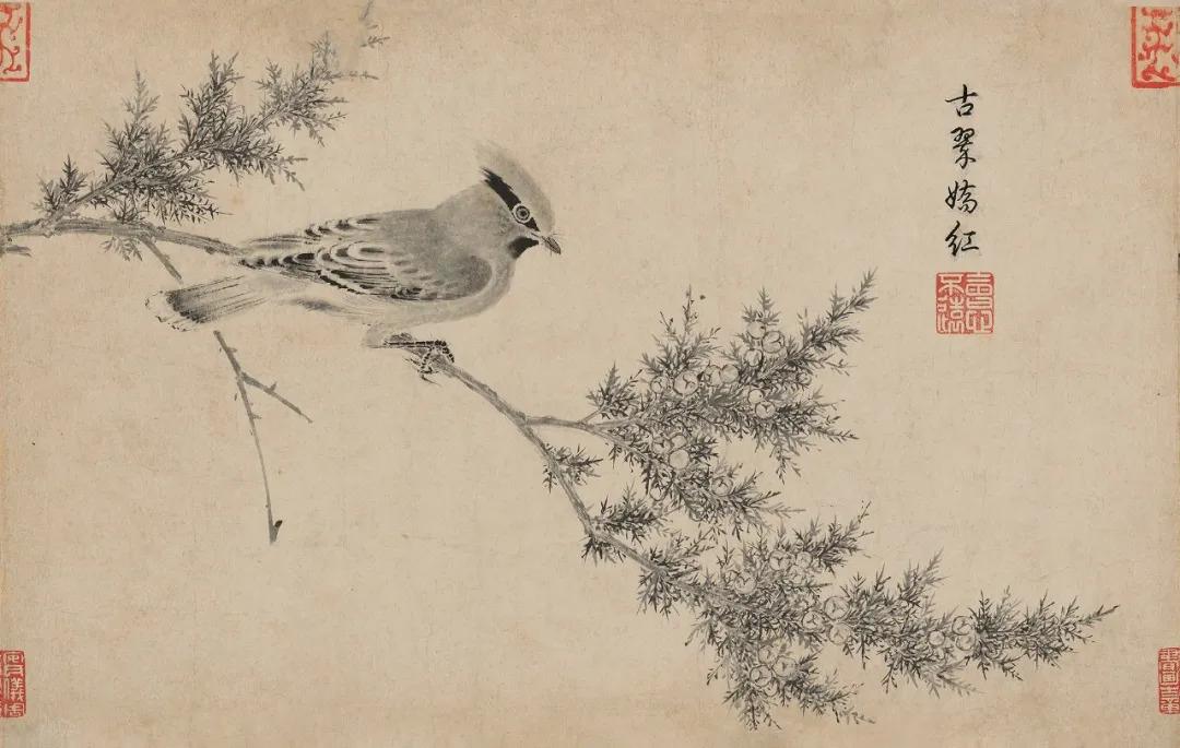 石渠宝笈名迹丨宋徽宗写生珍禽图