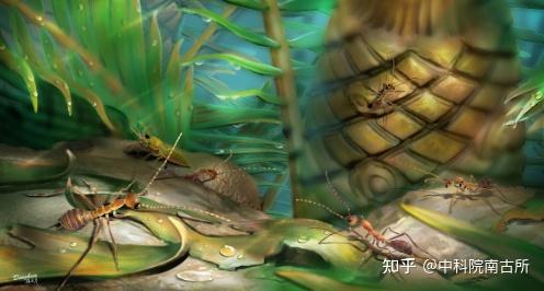 用孙子兵法的方式打开昆虫帝国中生代往事中