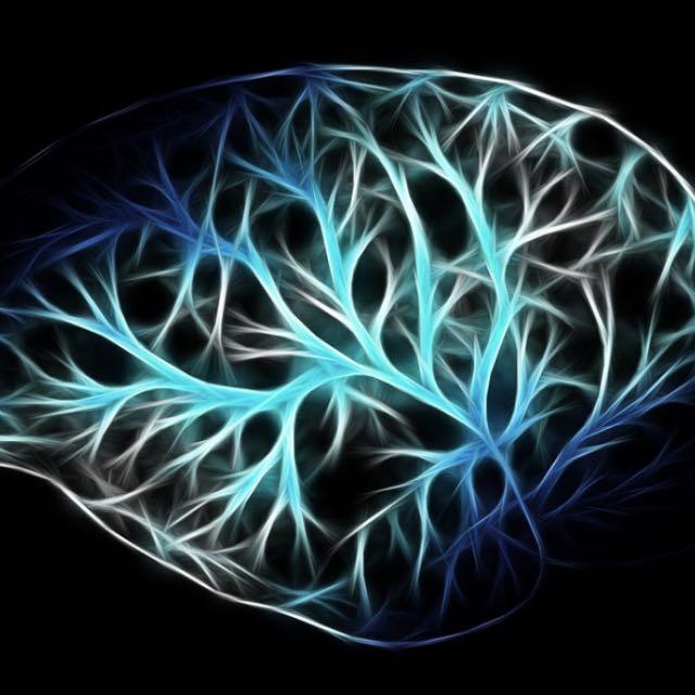 既然神经细胞不可再生，为什么脑越用越聪明? 