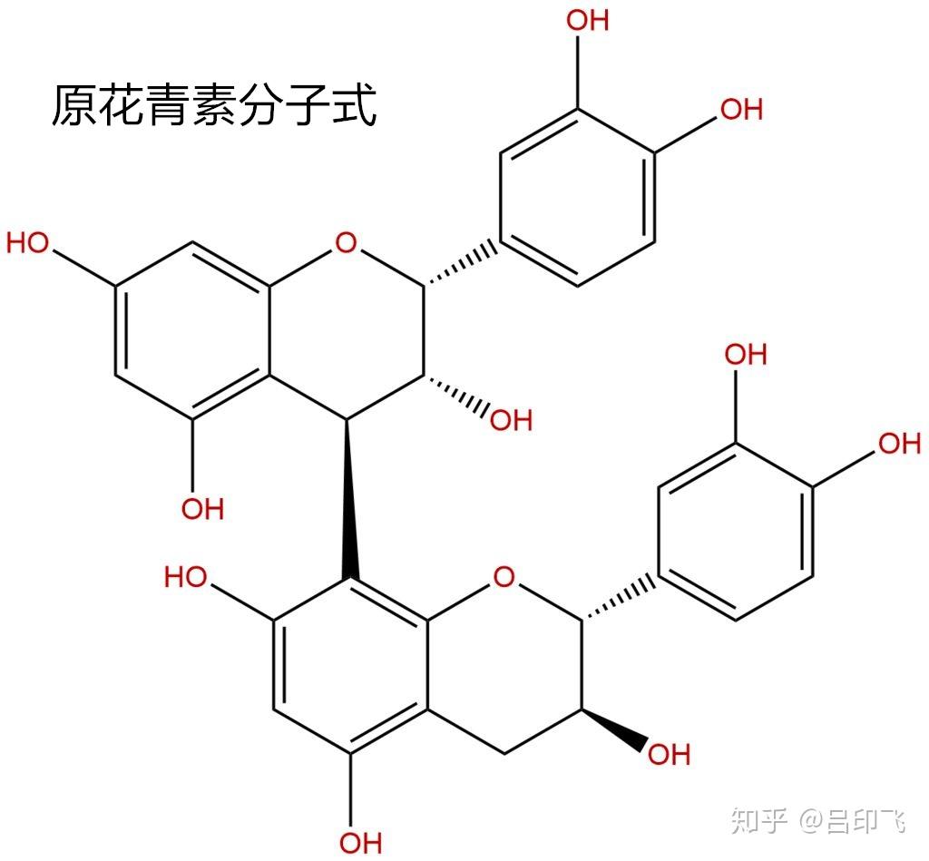 营养功能成分每日一讲原花青素