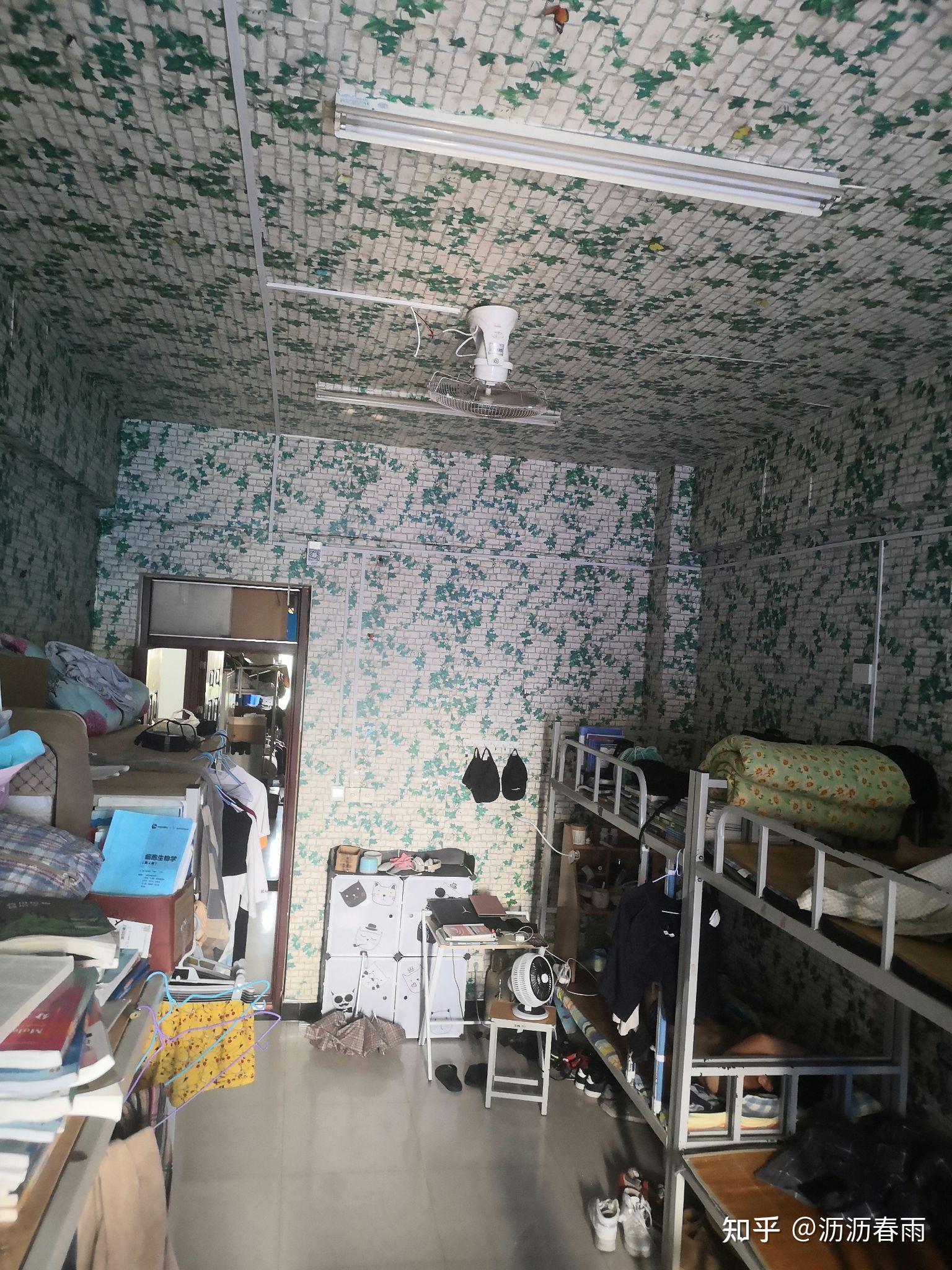 河南科技大学乾园宿舍图片