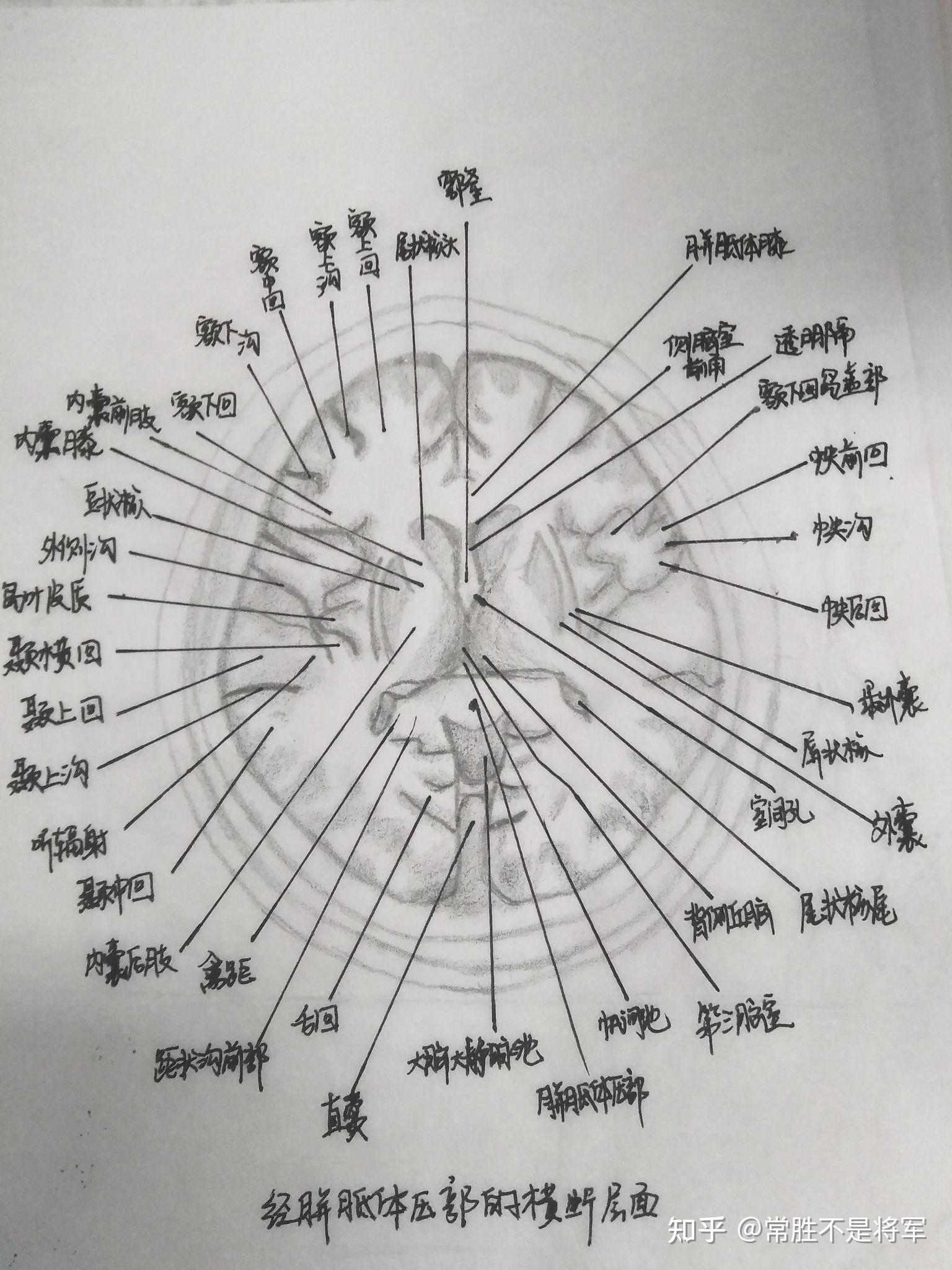 横断面图怎么画手绘图片