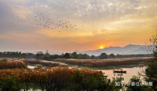 《蝲蛄吟唱的地方》 - 知乎