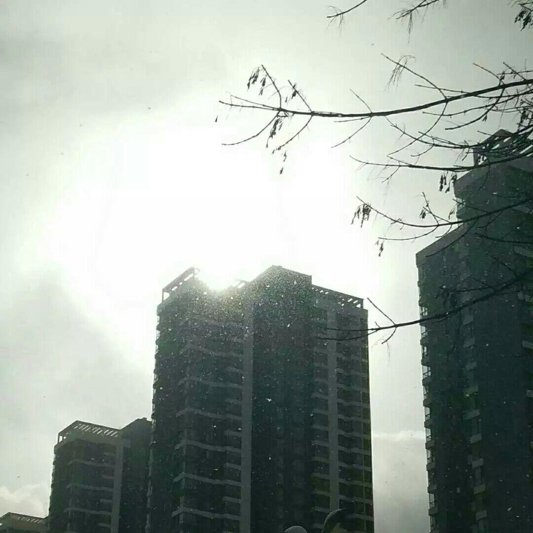 S7失利,导致英雄联盟玩家数量骤减,dota2人数