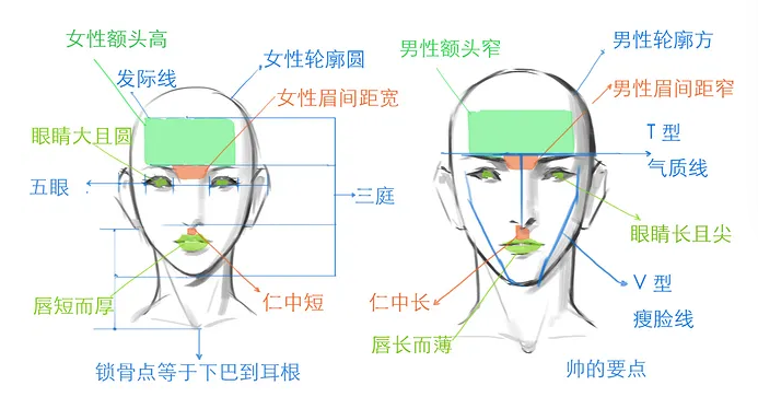 额头美学标准：什么样的额头才是好看的？ - 知乎