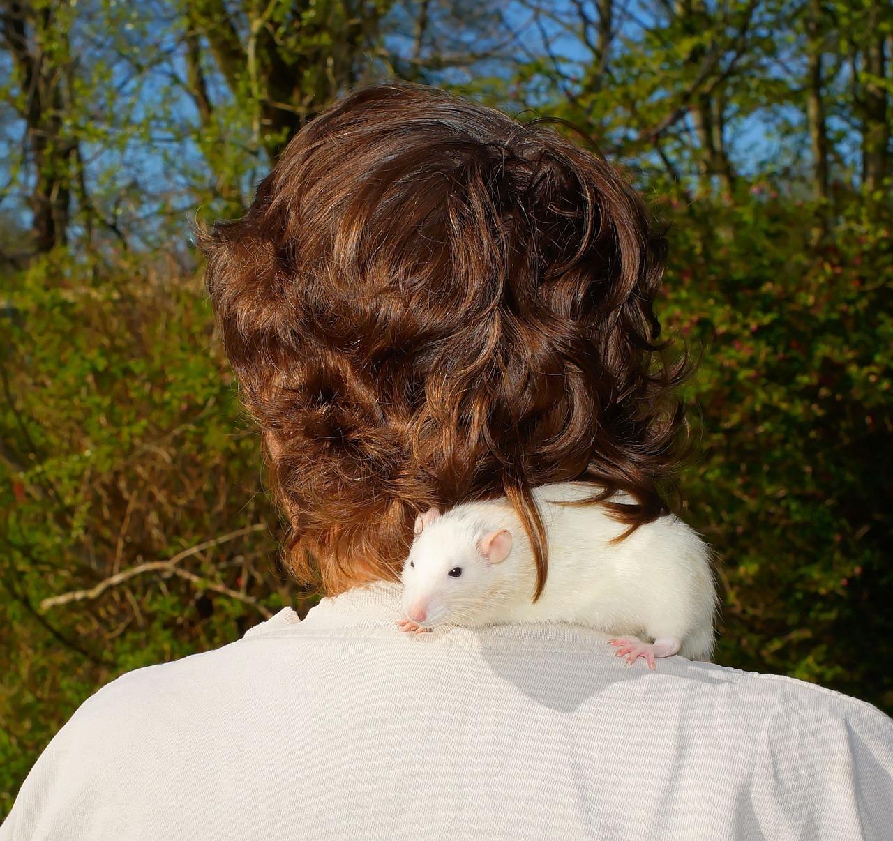 肩并肩的陪伴时光