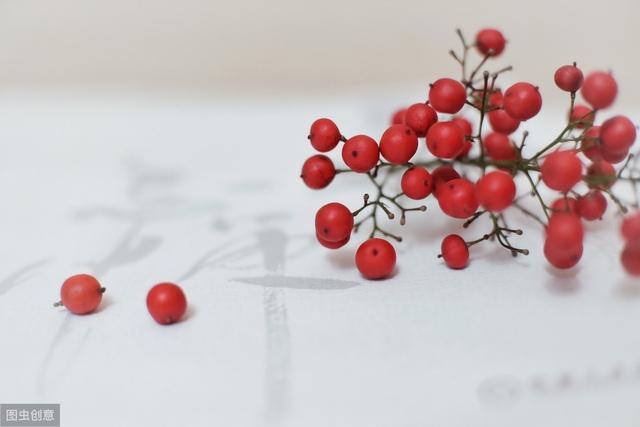 唐代王维《相思》以红豆怀人,在我国最早诗歌中用什么寄托相思? - 知乎