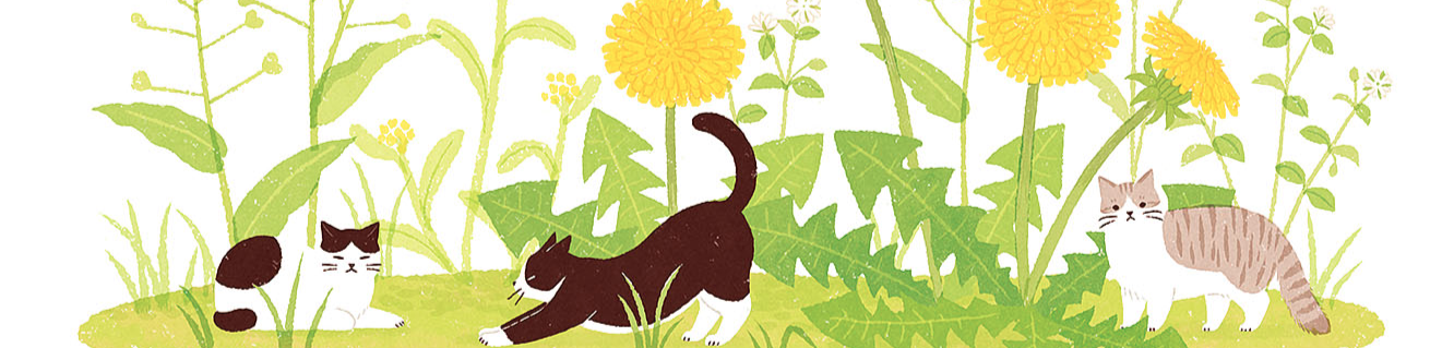 Zhihu banner for @kalmar
