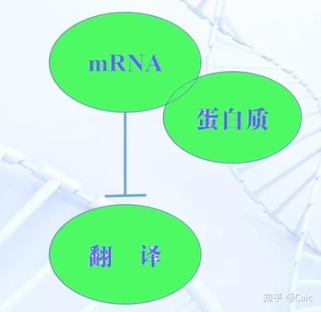 遗传学_14 基因表达的调控 - 知乎
