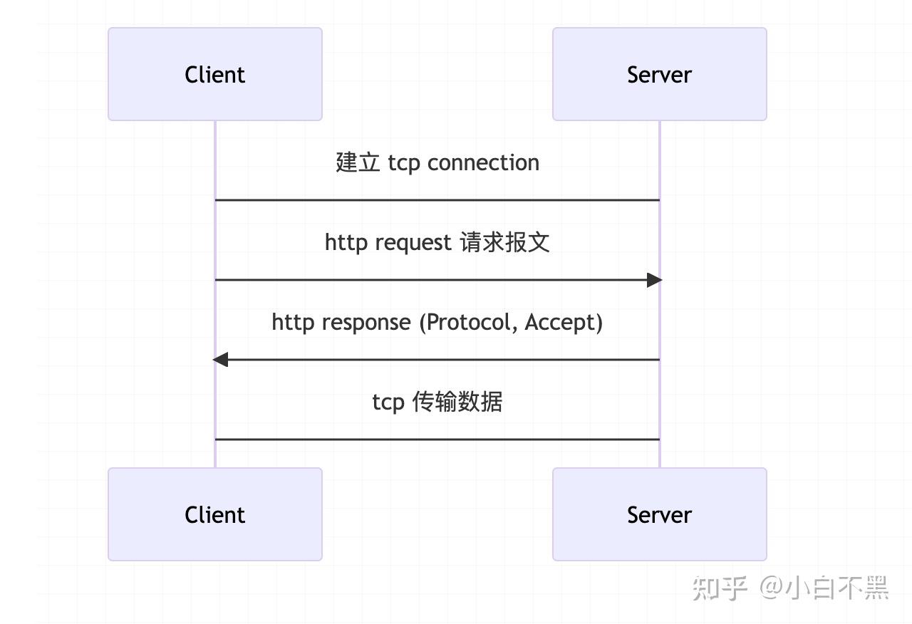 从编解码层面理解 WebSocket ，手写一 个WebSocket（Rust） - 知乎