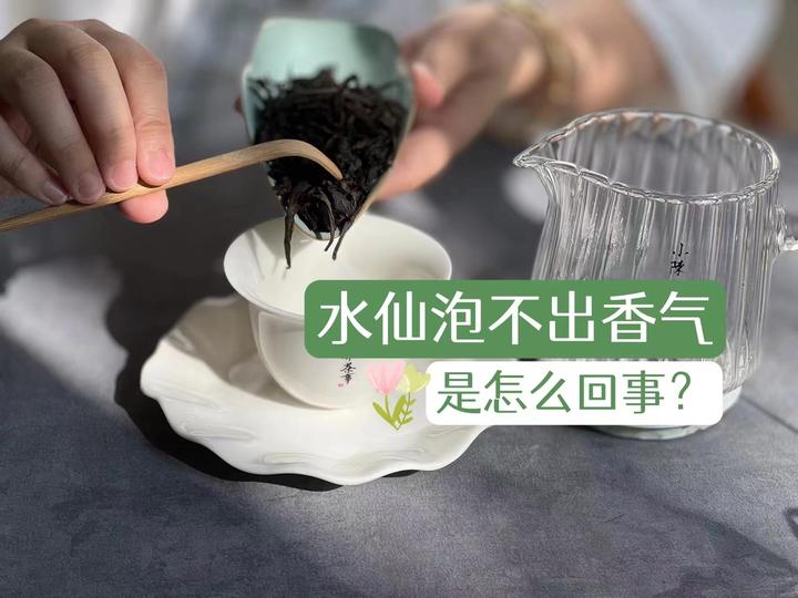 肉桂有大桂皮，水仙有没有大兰底？一文看懂水仙岩茶香气的秘密- 知乎