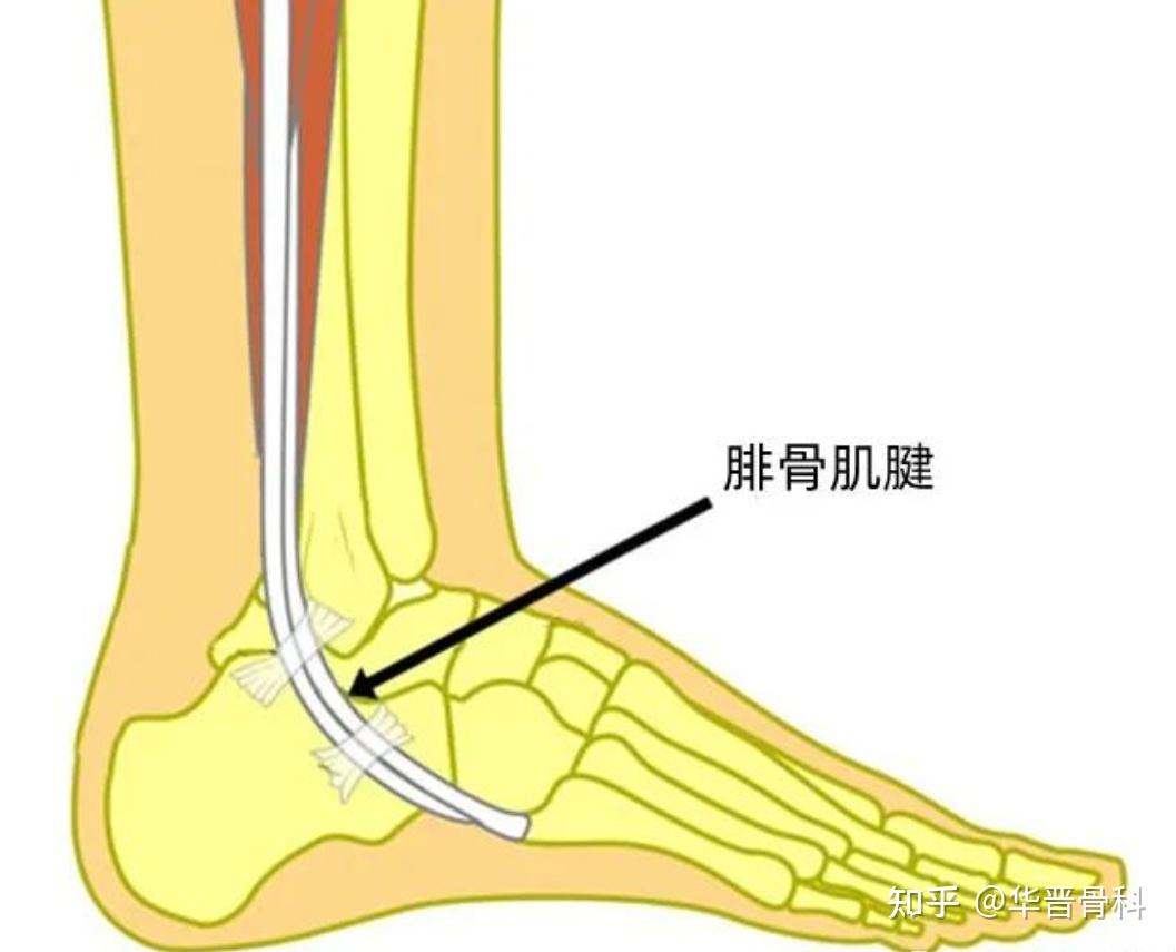 科目三火爆全网