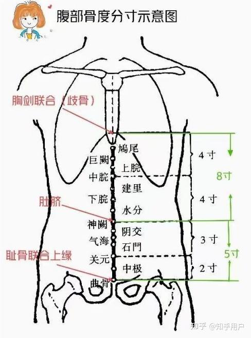 第四章任脉 - 知乎