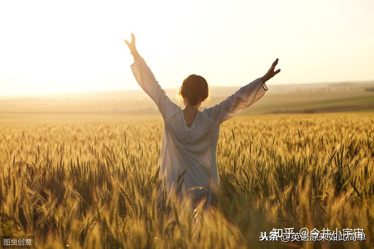 有哪些令人感动的志愿者