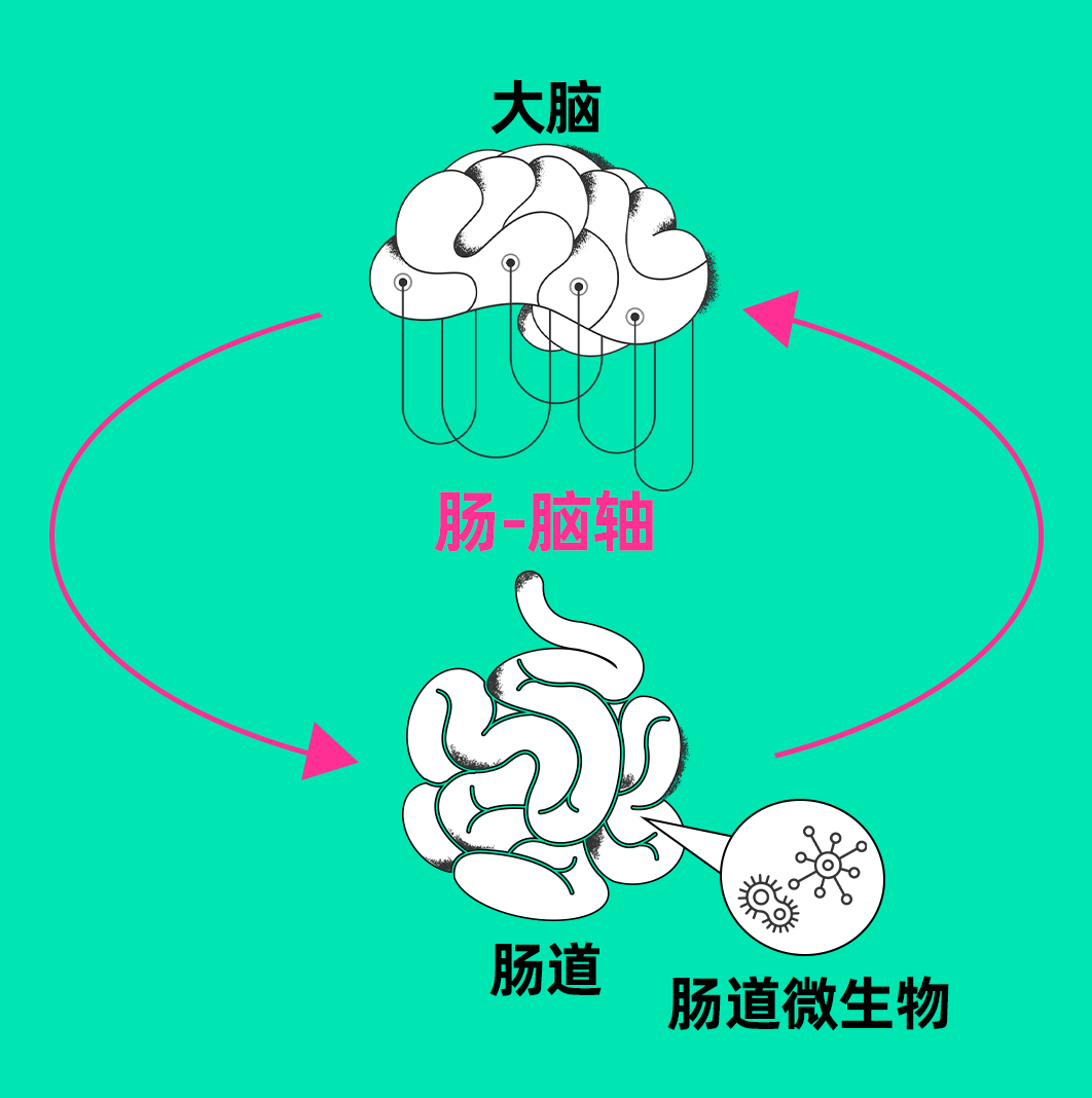 生活在肠道间的千千万万微生物也会影响大脑,比如这些微生物产生的短
