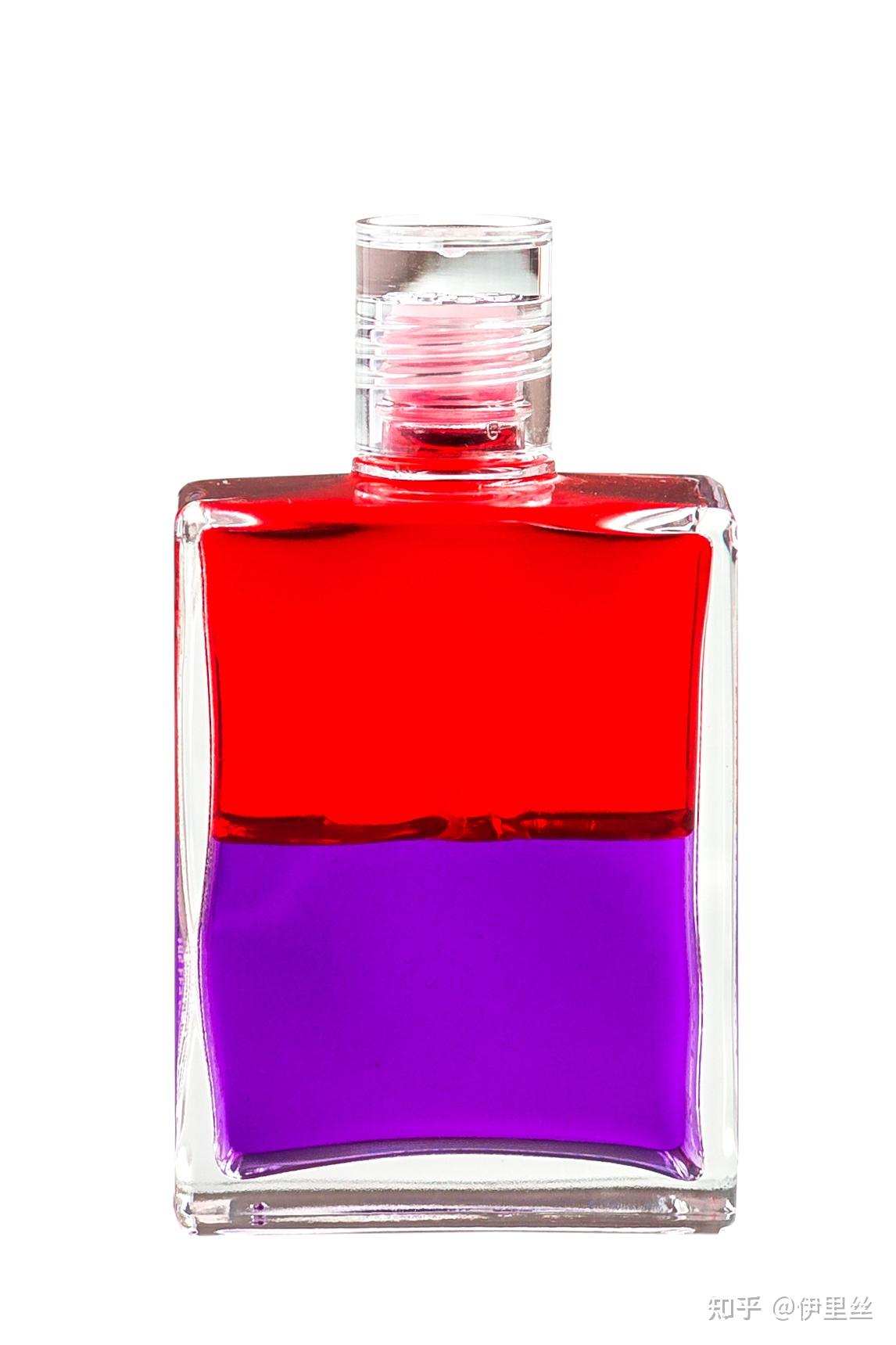 红色紫色选择的力量