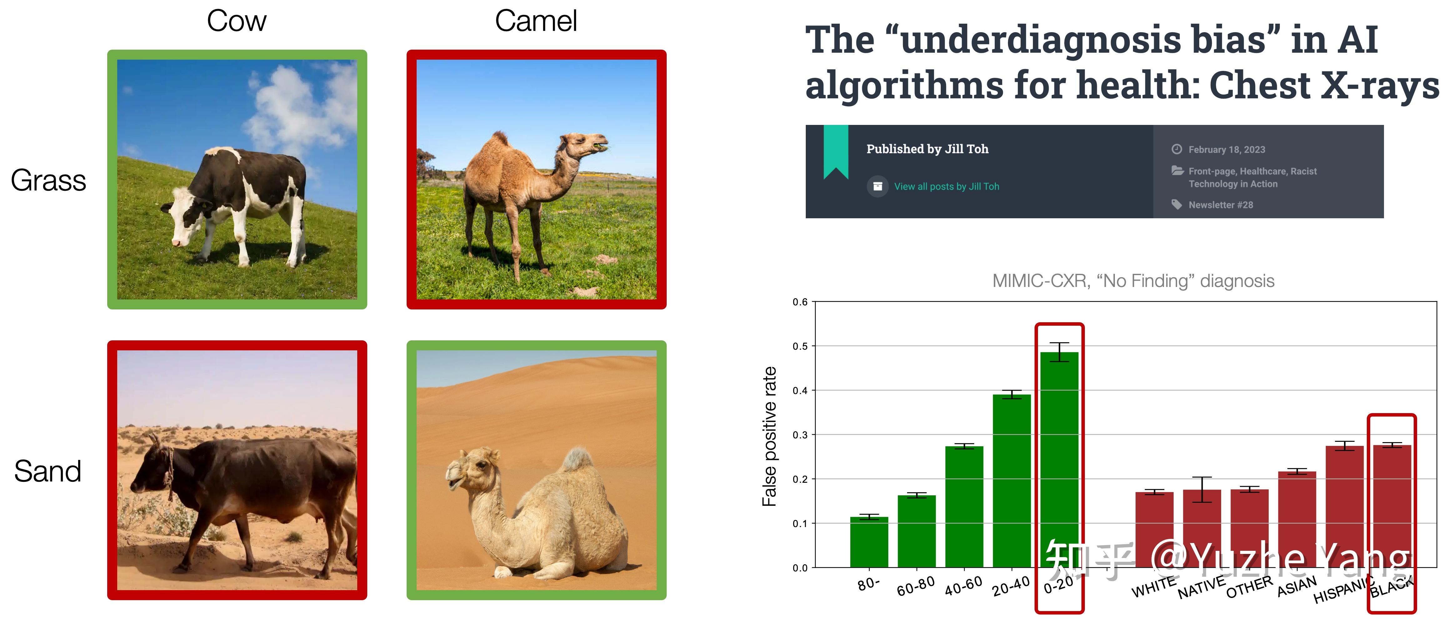Camel Problem ICML 2023 | 子群体偏移问题深入研究 - 知乎