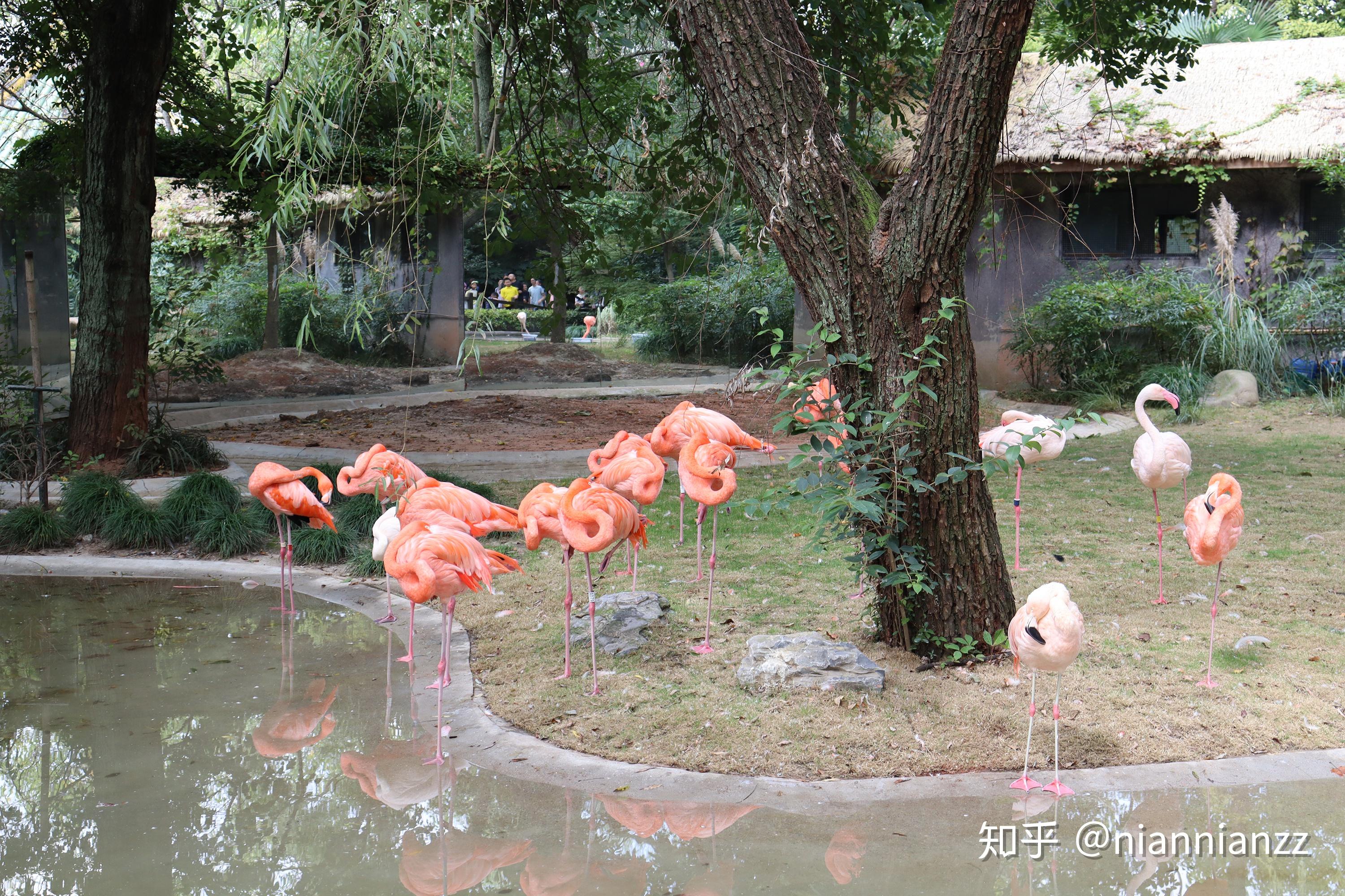 中國最好的動物園在哪裡