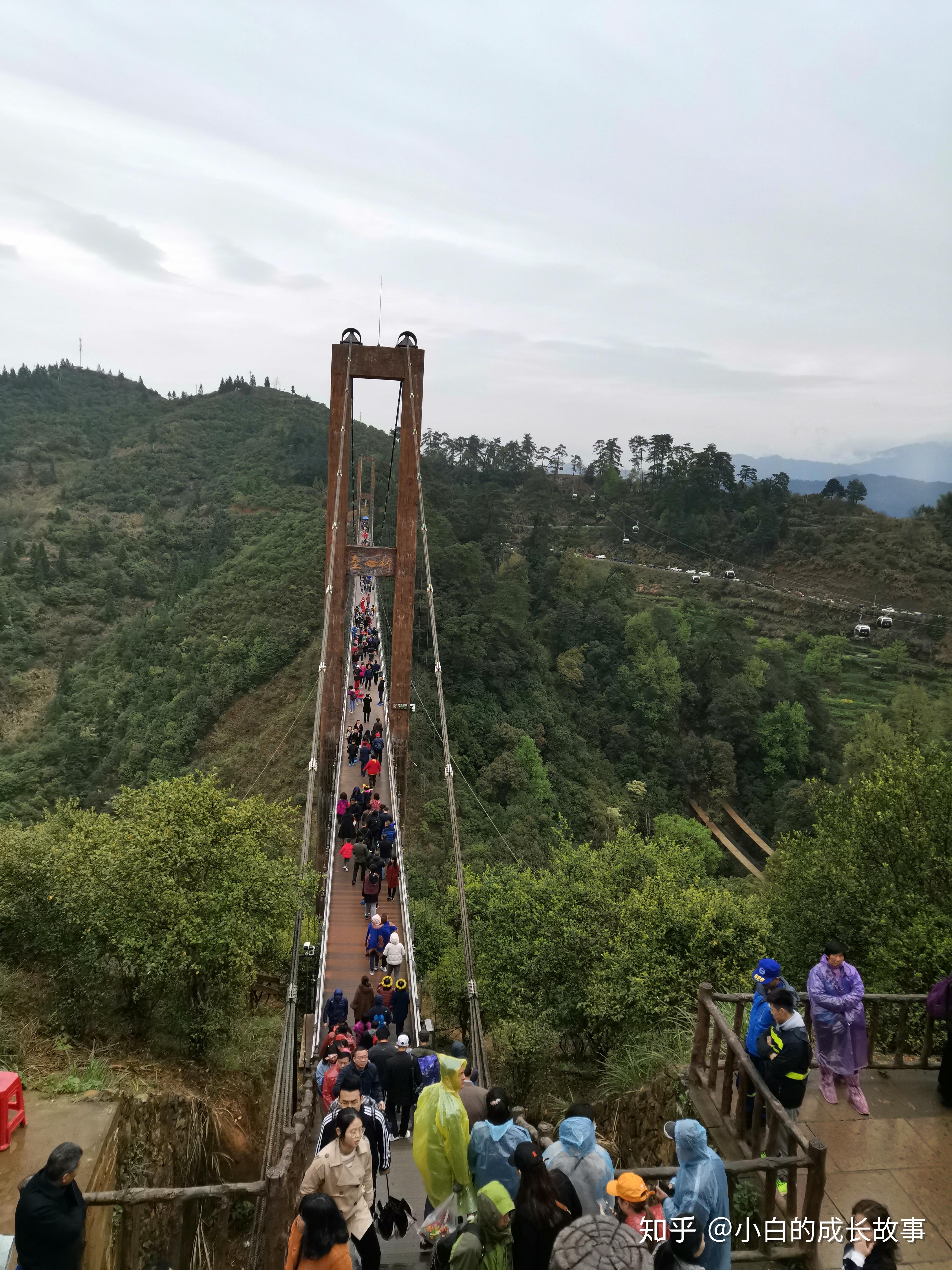 v2-cd29259d502a937847f48f0898145308_r.jpg