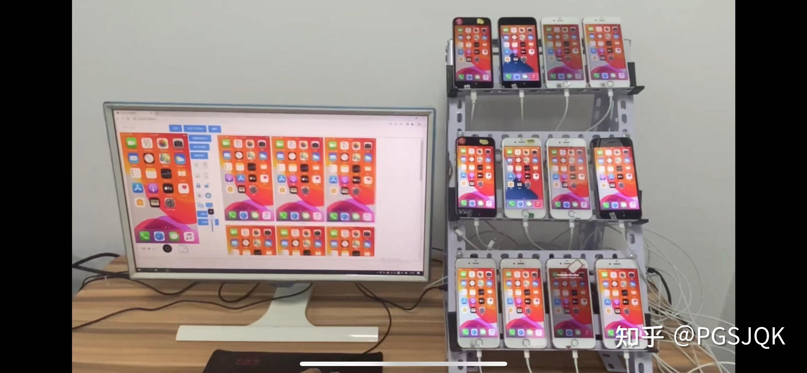 支付宝养的鸡体重为什么在减轻